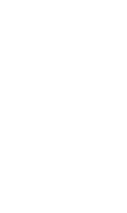 Webjungle.ch